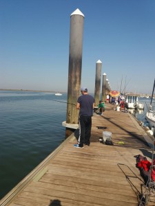 IMG-20171007-WA0001 (2)