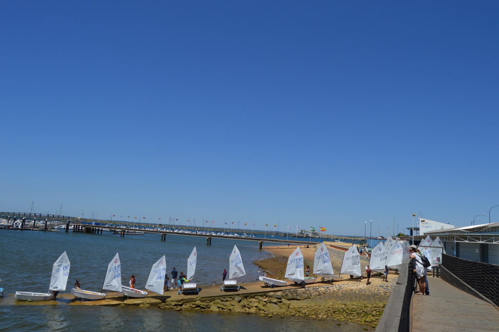 DSC_0817