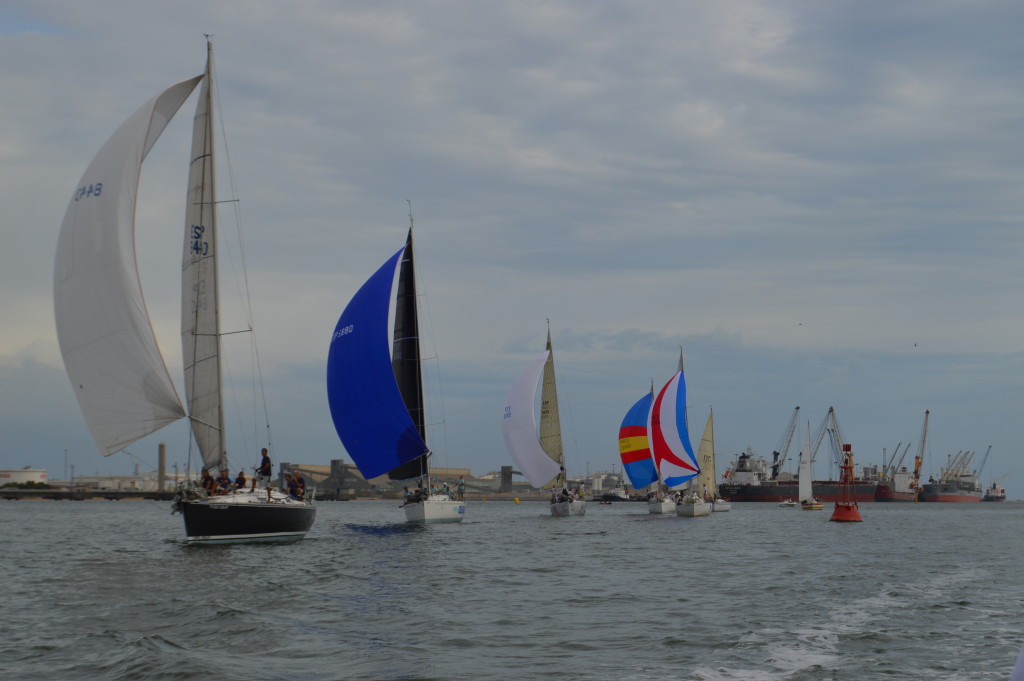 DSC_0255